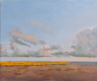 Vestkysten af Læsø .. by SteenR (Rasmussen) | maleri