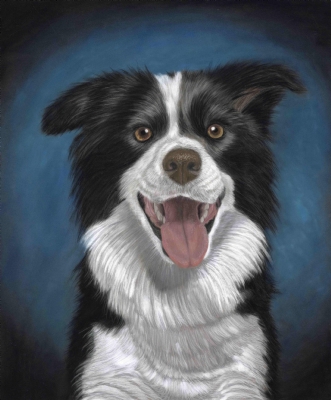 Border Collie af Liv Vinter